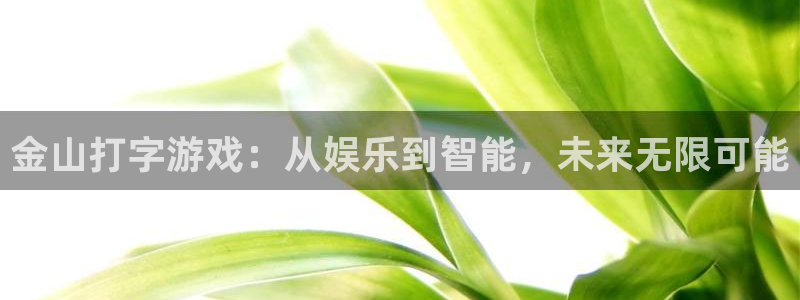 长运娱乐4招商：金山打字游戏：从娱乐到智能，未来无限可能